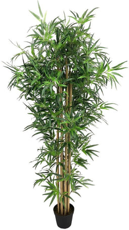 Decoratieve plant Cement Weefsel Bamboe 180 cm