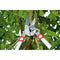 WOLF-Garten POWER CUT RS 900 T - Takkenschaar - telescoop - 650-900mm - aluminium hefboomarmen - 4x meer kracht - messpanning instelbaar - aambeeld