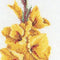 Thea Gouverneur - Borduurpakket met telpatroon - 3072A - Voorgesorteerde DMC Garens - Gele Gladiolen - Aida - 20 cm x 88 cm - DIY Kit