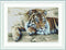 Thea Gouverneur - Borduurpakket met telpatroon - 579A - Voorgesorteerde DMC Garens - Tijger - Aida - 45 cm x 35 cm - DIY Kit