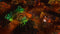 Kalypso Dungeons 2 - PS4 - Inclusief DLC's en multiplayer modes