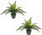 Varen kunstplant/kamerplant groen H40 cm x D36 cm - Kunstplanten/nepplanten