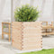 vidaXL - Plantenbak - 60x60x68,5 - cm - massief - grenenhout
