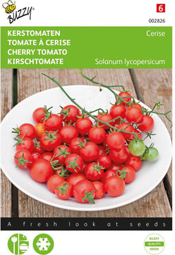 Kerstomaat Cerise