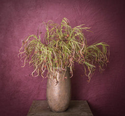 PTMD Twig Plant Weeping Kunsttak - 52 x 35 x 111 cm - Groen