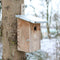 Esschert Design Observatie - Vogelhuisje