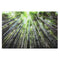 Schilderij Home ESPRIT Groen Bedrukt 150 x 0,4 x 100 cm