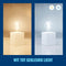 WiZ Filamentlamp A60 E27 - Dimbaar met kleurlicht - 40W