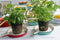 CABANAZ - bord, keramiek, SERVING TRAY ROUND, set 2, blauw