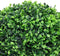 vidaXL - Kunstplanten - met - pot - 2 - st - buxus - bolvorming - 27 - cm - groen
