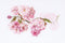 Thea Gouverneur - Borduurpakket met telpatroon - 512 - Voorgesorteerde DMC Garens - Prunus Bloesem - Linnen - 30 cm x 20 cm - DIY Kit