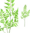 PTMD Fern Plant Varen Kunsttak - 60 x 30 x 111 cm - Lichtgroen