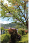 Rio - Zonnekrans - 7,50 m - 10 LED lampenkappen - Grijs