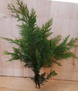 4 stuks Kerstgroen groene conifeer