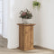 vidaXL - Plantenstandaard - 33x33x60 - cm - bewerkt - hout - artisanaal - eiken