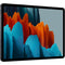 Samsung Galaxy Tab S7 (11.0