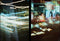 Kodak Ektar H35N - Half Frame Camera - Ingebouwd sterfilter en bulbfunctie - Oranje