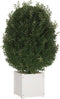 vidaXL - Plantenbakken - 2 - st - 40x40x40 - cm - massief - grenenhout - wit