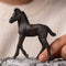 schleich HORSE CLUB - Fries Veulen - 13977