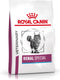 Royal Canin Veterinary Diet Renal Special - Kattenvoer - 4 kg