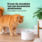 Jake and Jacky Keramische Drinkfontein - Waterfontein 2L - Fluisterstil - Keramisch Wit