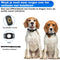Exclusive by TW - GPS Tracker - Waterdicht - Live Tracken - Zwart