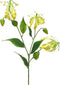 Phalaenopsis Orchidee Bora 77 cm wit kunstbloem