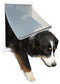 Trixie 2-Weg Hondenluik - Geluidsarme klep - Wit - S/M 30X36 cm