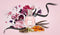 Viktor & Rolf Flowerbomb 50 ml - Eau de Parfum - Damesparfum