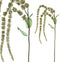PTMD Twig Plant Amaranthus Kunsttak - 68 x 19 x 111 cm - Groen