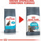 Royal Canin Urinary Care - Kattenvoer - 10 kg