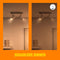 WiZ Spot 2-pack - Slimme LED Verlichting - Instelbaar Wit Licht - GU10 fitting - 50W (2 stuks)
