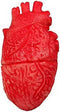 https://cdn.shopify.com/s/files/1/0680/0474/1402/products/8422259627357_R0_WBG0.jpg?v=1671737835