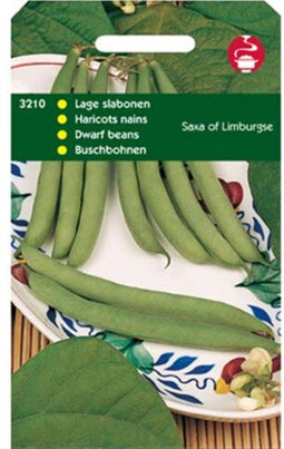 Stam (Lage) Slabonen Saxa of Limburgse