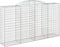 vidaXL - Schanskorven - 2 - st - gewelfd - 300x50x160/180 - cm - ijzer