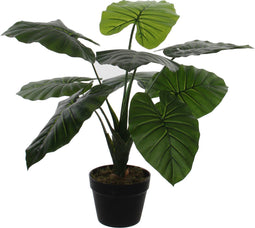 Mica Decorations Taro Kunstplant - H60 x Ø60 cm - Groen