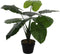 Mica Decorations Taro Kunstplant - H60 x Ø60 cm - Groen