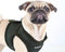Puppia Soft Vest Harness - Hondentuig - Verstelbare buikriem - Rood - M