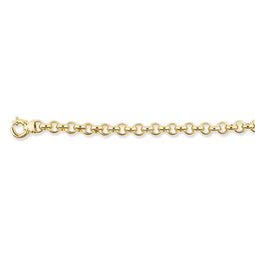 Silver Lining - Zilveren schakelarmband 22 cm - Jasseron schakels - Geelgoudverguld