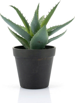 By-Boo Kunstplant Agave - Small