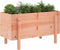 vidaXL - Plantenbak - verhoogd - 101x50x57 - cm - massief - douglashout