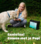 Mister Mill Puppy Top Chunk - Puppy Brokken - Puppy Voer - Hondenbrokken Droog - Hondenvoer Droog - Hondenvoeding - Hondenbrokken Puppy - 10KG