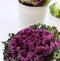 Plant in a Box - Brassica oleracea - Set van 3 - Sierkool - Decoratieve Bladen - Pot 10.5cm - Hoogte 10-20cm