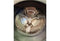 Bosch WAY32790 Tweedehands Refurbished Wasmachine | A+++ | 8kg | 6M garantie