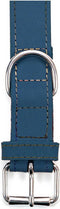 Dog collar Gloria Oasis Blue (55 x 2,5 cm)