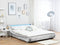Beliani AVIGNON - Waterbed - Zilver - Fluweel