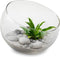 Jodeco Bloemenvaas Bobby - helder transparant - glas - 15 x 12 cm - bol vaas/schaal