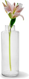 Jodeco Bloemenvaas Willem - helder transparant - glas - 11,5 x 32 cm - fles vorm vaas