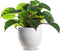 Jodeco Plantenpot/bloempot Beau - wit/goud - keramiek - D35 x H32 cm - hotel chique
