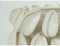 ESPRIT Middenstuk - Decoratieve figuren - Handgemaakt Keramiek 30 x 30 x 19 cm - Wit Groen Beige